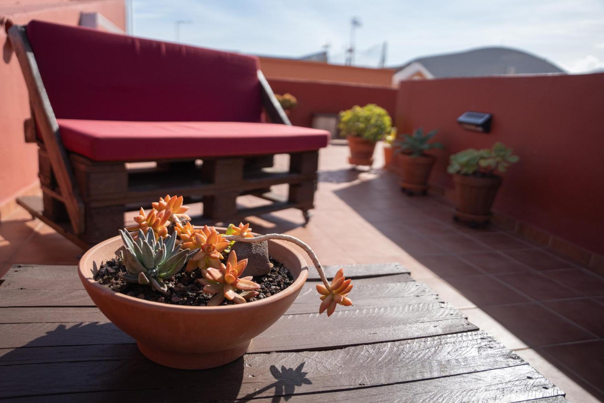 Tenohomes Rustic House With Terrace & Nature Views ブエナビスタ・デル・ノルテ エクステリア 写真